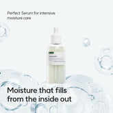 EQQUALBERRY Swimming Pool Ampoule